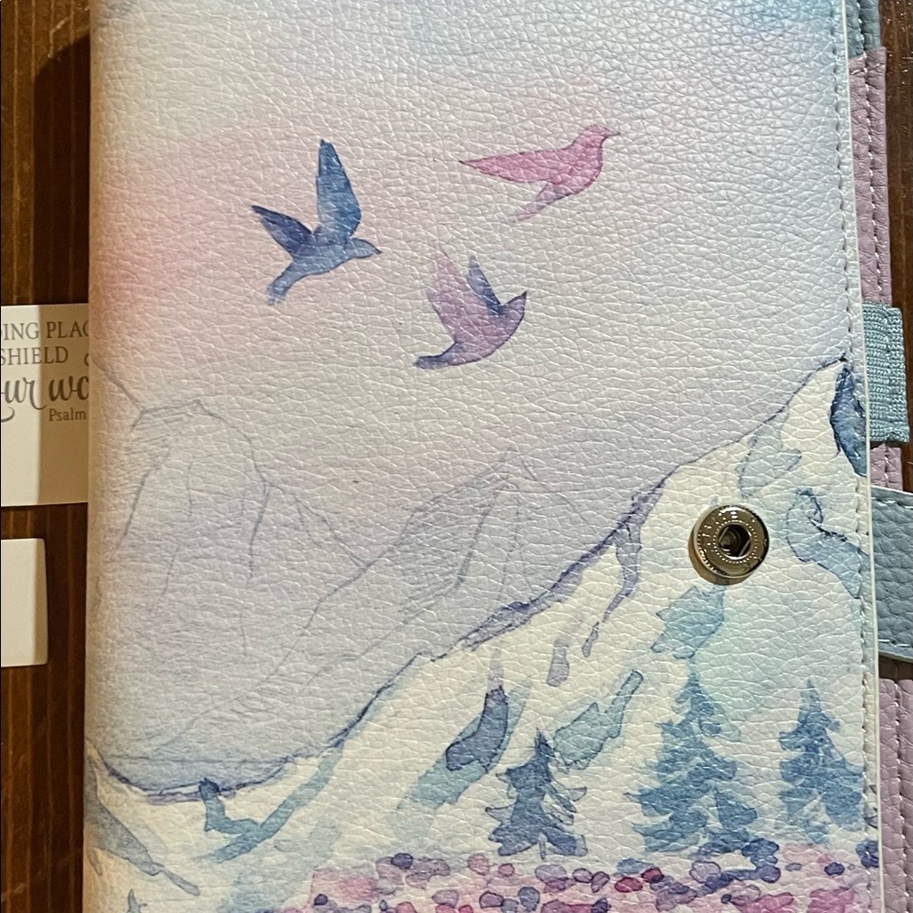 Planner anonymous northern lights planner